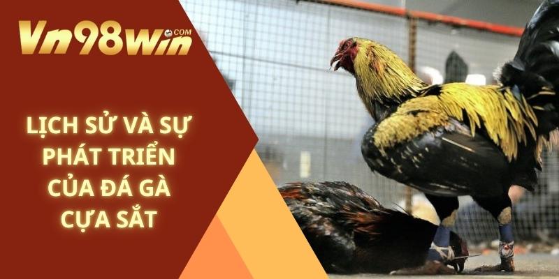 Lịch sử và sự phát triển của đá gà cựa sắt